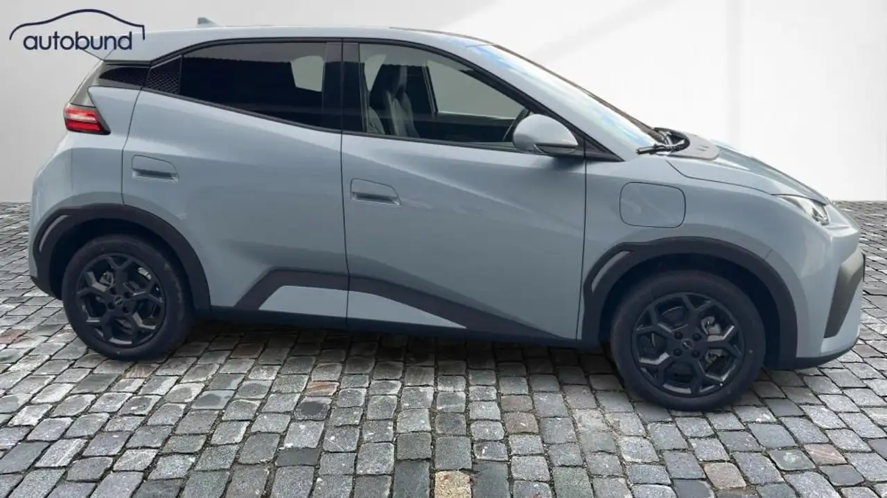BYD Dolphin Surf 2026