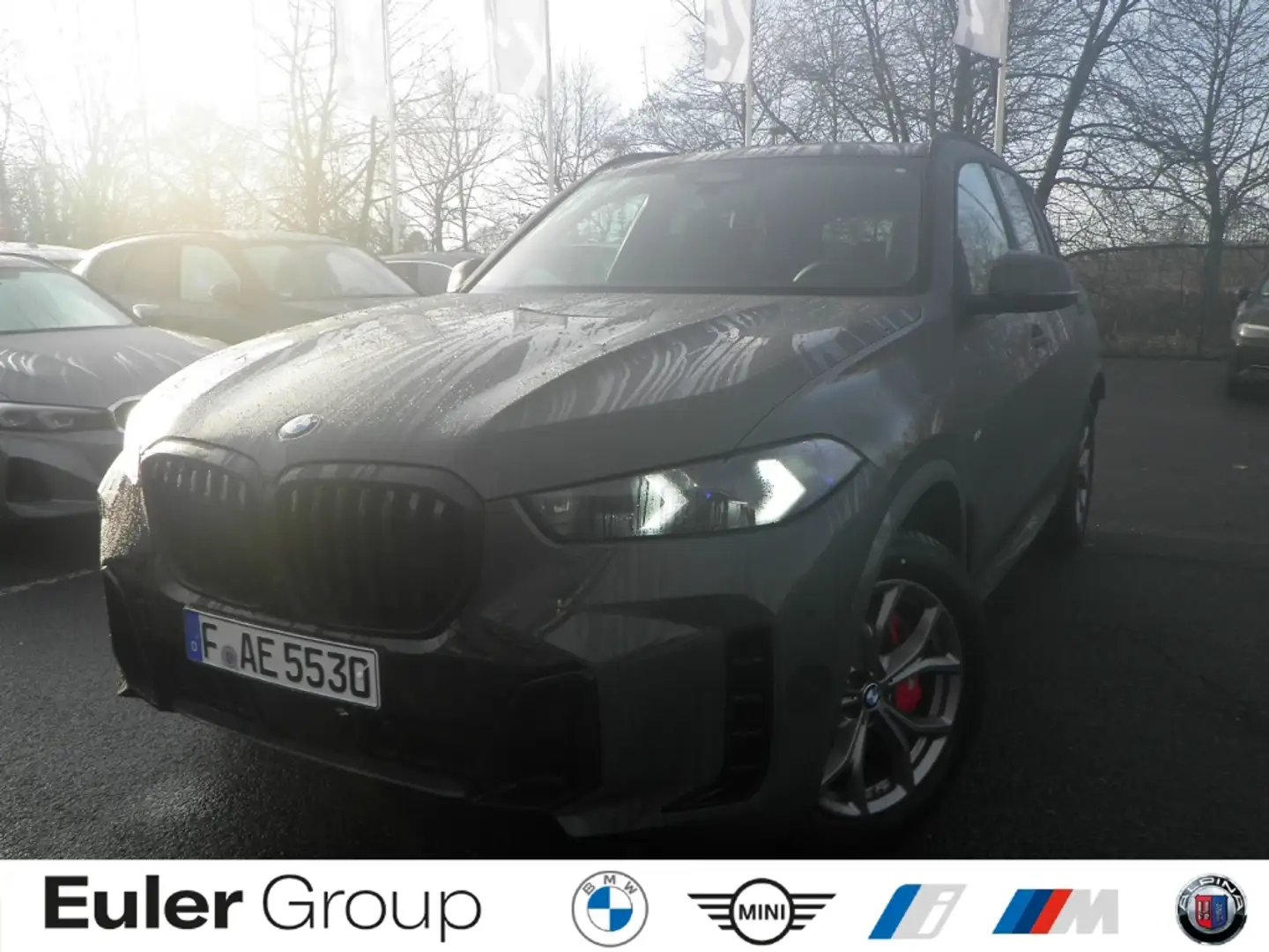 BMW X5 xDrive 30d Sportpaket AD StandHZG AHK-klappbar AHK Grau - 1