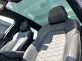 Audi A6 e-tron Braun - thumbnail 14