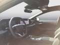 Audi A6 e-tron Braun - thumbnail 13