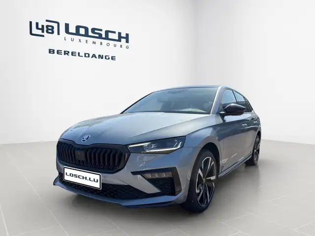 Skoda Scala view 2
