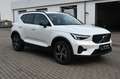 Volvo XC40 Plus Dark *ACC*BLIS*H&K*FSHZG*AHK* Weiß - thumbnail 8