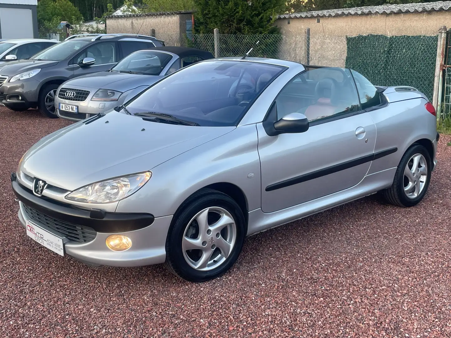 Peugeot 206 CC 1.6i 16V 110 cv "Platinum" Grigio - 1