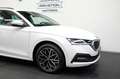 Skoda Octavia Combi Ambition/SITZ+LKRDHZ/NAVI/PDC/ACC/ Blanco - thumbnail 25