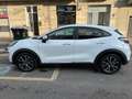 Ford Puma Puma II 2020 1.0 ecoboost h Titanium s Blanc - thumbnail 7