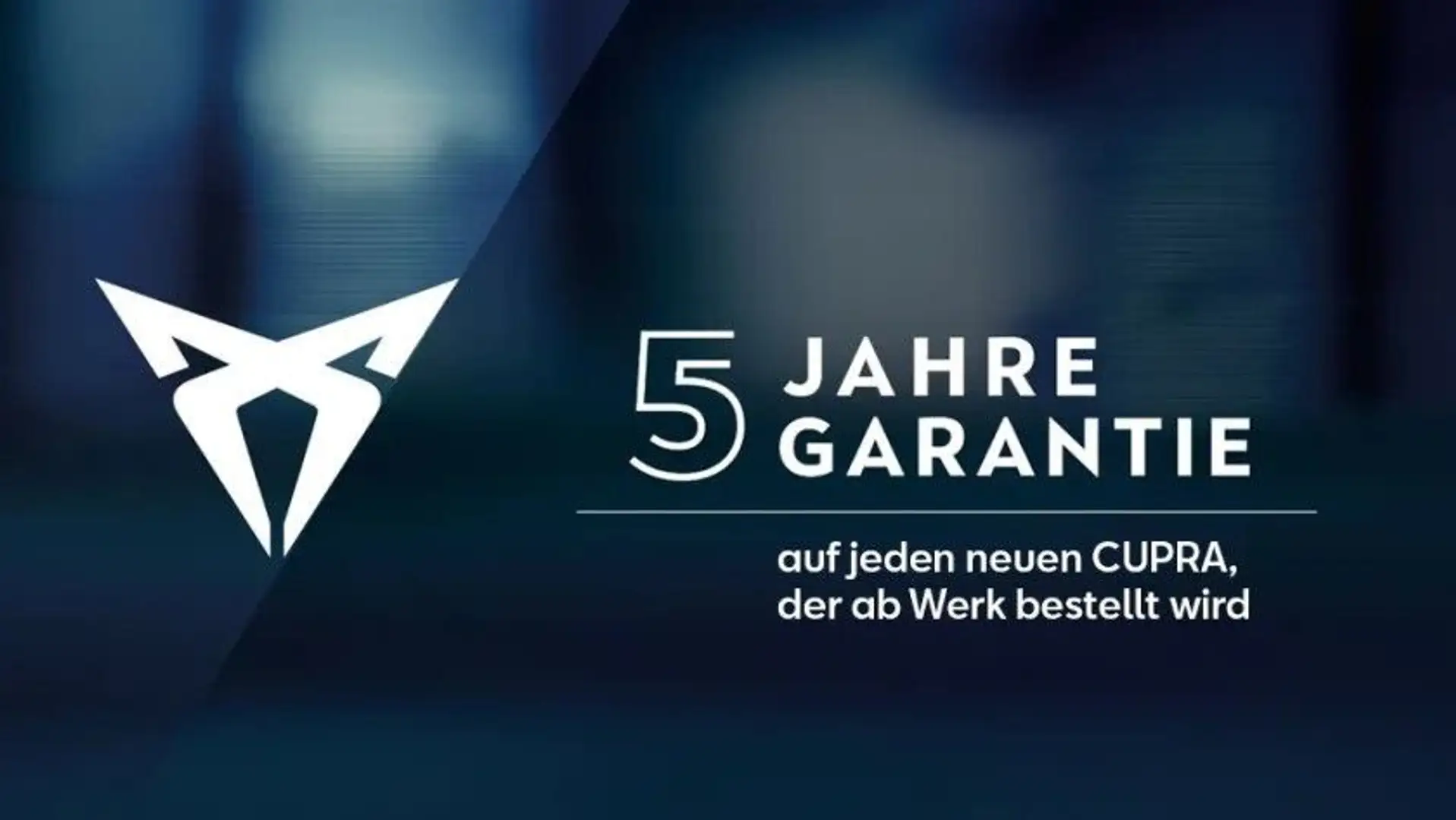 CUPRA Leon Sportstourer DSG*AHK*SHZ*EPH*RFK* Grau - 2