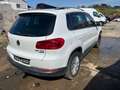 Volkswagen Tiguan Cup Sport & Style BMT 4Motion 2.0 TDI Weiß - thumbnail 4