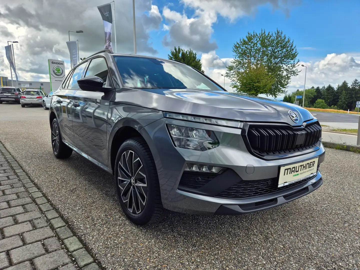 Skoda Kamiq Selection Grau - 2