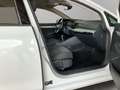 Volkswagen Golf Variant Life 2.0 TDI AHK Climatronic Weiß - thumbnail 17