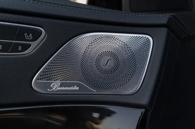 Mercedes-Benz S-Class view 10