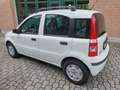 Fiat Panda 1.3 MJT 16V DPF Dynamic Bianco - thumbnail 2