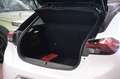 Opel Corsa 5 Porte 1.2  Elegance Bianco - thumbnail 5