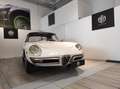 Alfa Romeo Spider - 1750 Veloce (tipo 105.57) "osso di seppia" Білий - thumbnail 1