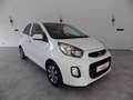 Kia Picanto Dream Team Blanc - thumbnail 2