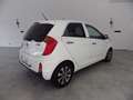 Kia Picanto Dream Team Blanc - thumbnail 5