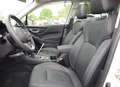 Subaru Forester Platinum Wit - thumbnail 7