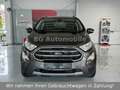 Ford EcoSport Titanium X*1.Hand*Schiebedach*R-Kamera* Grau - thumbnail 2