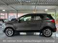 Ford EcoSport Titanium X*1.Hand*Schiebedach*R-Kamera* Grau - thumbnail 8