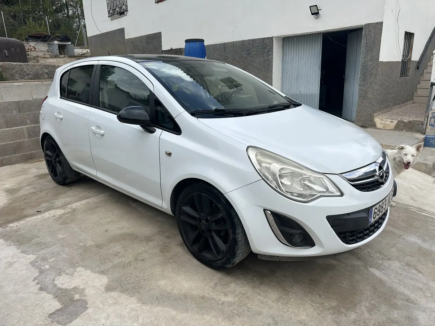 Opel Corsa 5p 1.3 cdti Edition (elective) 95cv fap - 1
