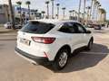 Ford Kuga 2.5 Duratec FHEV Titanium AWD Aut. - thumbnail 4