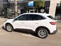 Ford Kuga 2.5 Duratec FHEV Titanium AWD Aut. - thumbnail 3