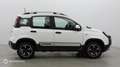 Fiat Panda 1.0 70ch BSG S\u0026S City Cross Plus - thumbnail 4