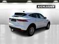 Jaguar E-Pace D150 AWD AT Weiß - thumbnail 4