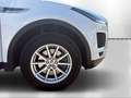 Jaguar E-Pace D150 AWD AT Weiß - thumbnail 7