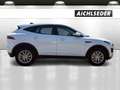 Jaguar E-Pace D150 AWD AT Weiß - thumbnail 5