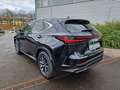 Lexus NX 450h+ E-FOUR Executive Line HUD Leder Navi 360 Kamera Kl Schwarz - thumbnail 3