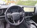 Lexus NX 450h+ E-FOUR Executive Line HUD Leder Navi 360 Kamera Kl Schwarz - thumbnail 10