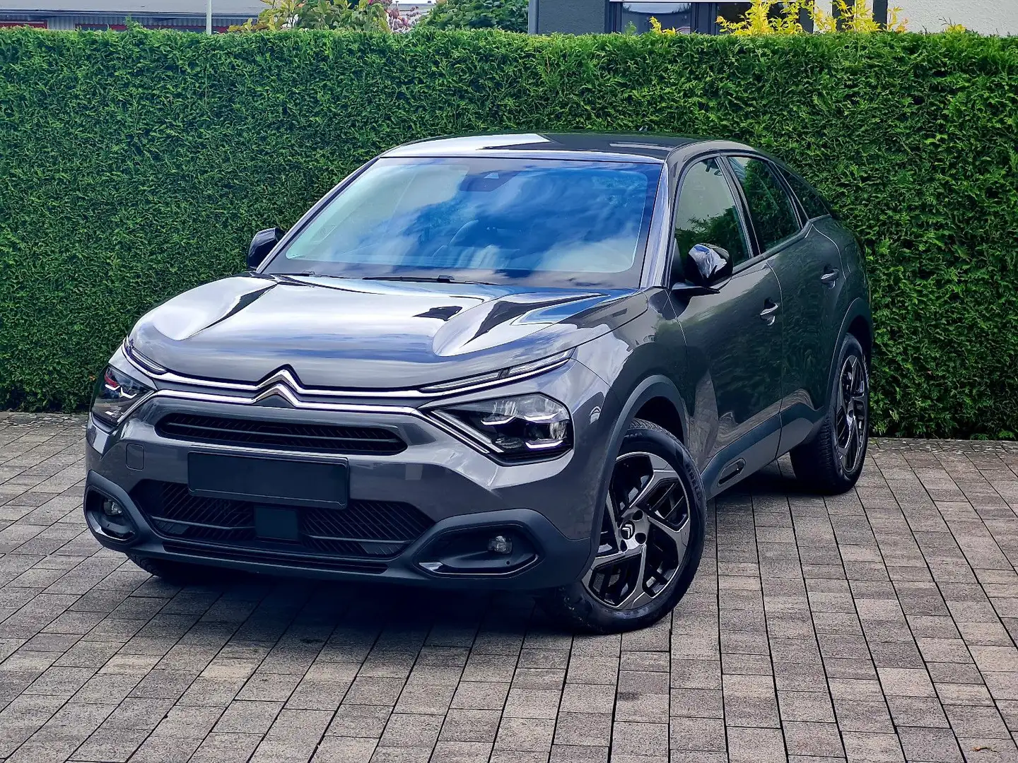 Citroen C4 PureTech 130 (Automatik, Kamera, Navi) Grau - 1