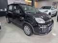 Fiat Panda Actual 1.0 GSE MHEV Noir - thumbnail 6
