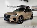 Volvo XC60 Plus Diesel, B4 AWD Mild-Hybrid, Dark Luftfederung Grau - thumbnail 1