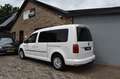 Volkswagen Caddy MAXI 1.0 TSI COMFORTLINE. 7p, Cruise, carplay Blanc - thumbnail 6