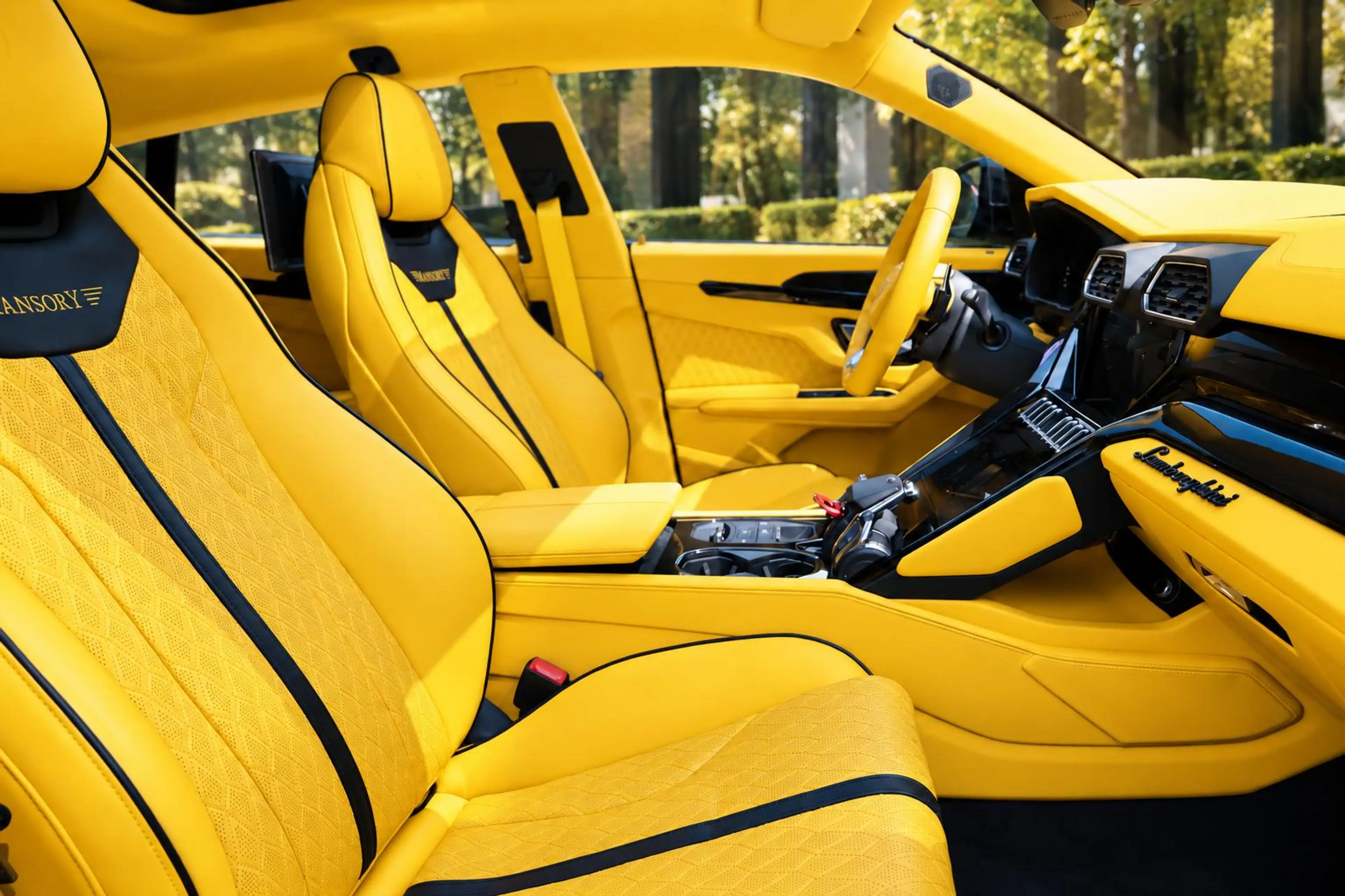 Lamborghini Urus 4.0 V8 |MANSORY Venatus EVO S P900 1 of 1|Pano|HUD — photo 6