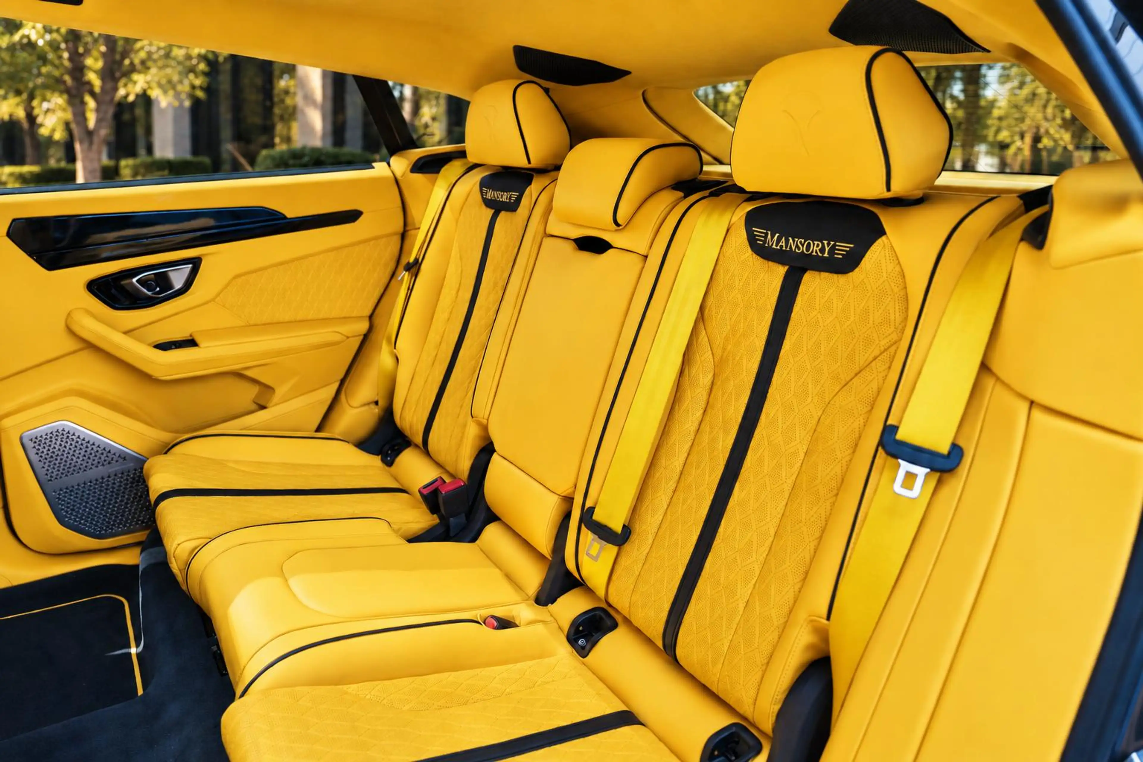 Lamborghini Urus 4.0 V8 |MANSORY Venatus EVO S P900 1 of 1|Pano|HUD — photo 9
