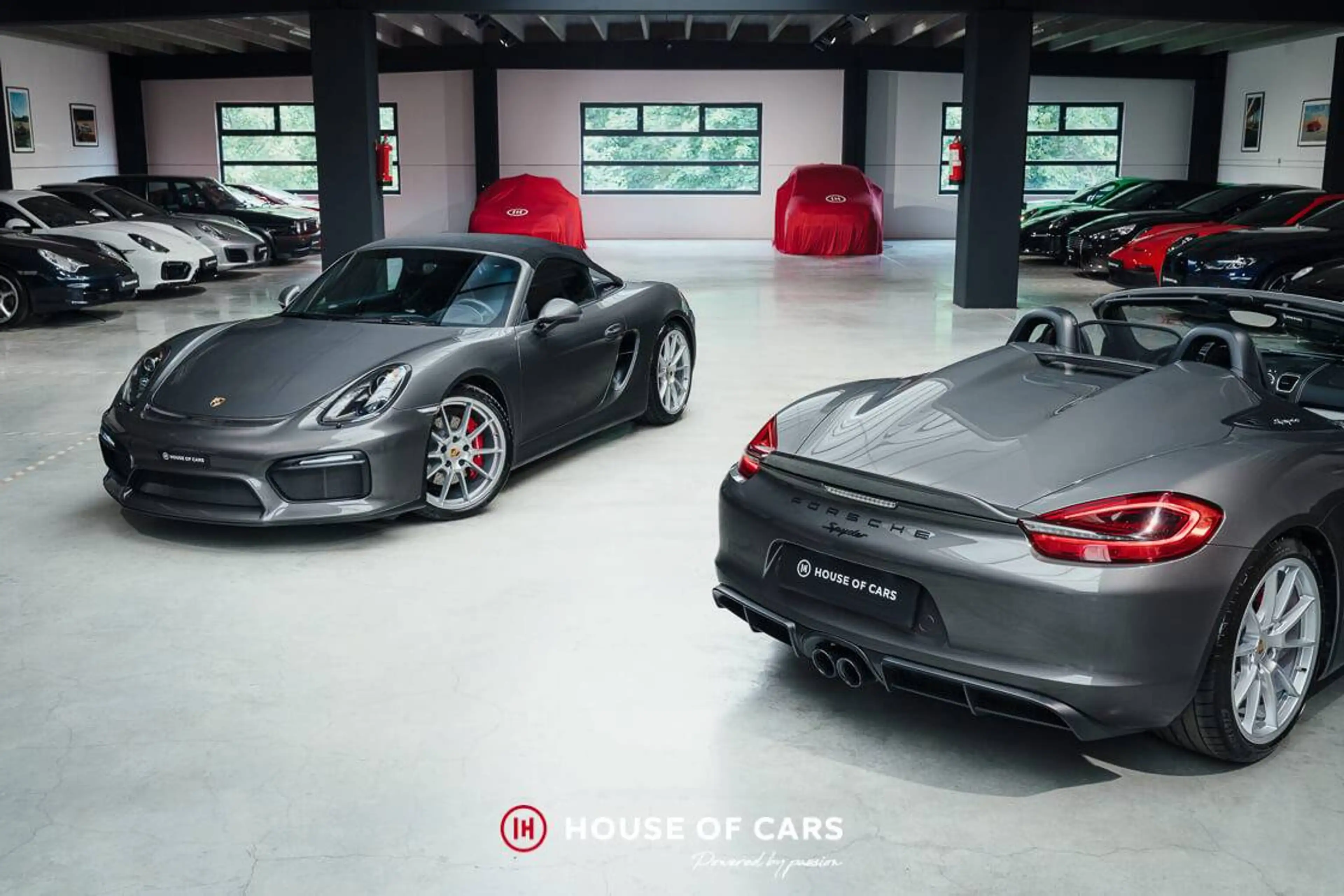 Porsche Boxster 981 Boxster Spyder - 1st paint - Low mileage - PPF