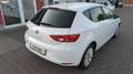 SEAT Leon Style Weiß - thumbnail 5