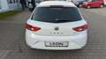 SEAT Leon Style Weiß - thumbnail 6