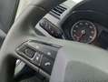 SEAT Ibiza 1.0 TGI 66kW (90CV) 2 PLAZAS PROFESIONAL Wit - thumbnail 14