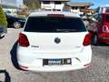 Volkswagen Polo 1,0 BLUEMOTION *LOUNGE-Edition* Weiß - thumbnail 8