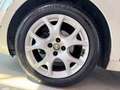 Alfa Romeo MiTo 1.4 78 CV Distinctive Bianco - thumbnail 4