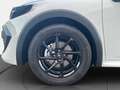 Renault Clio CLIO EVOLUTION TCe 115 Weiß - thumbnail 16