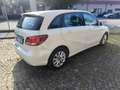 Mercedes-Benz B 160 Executive Tech *OK NEOPATENTATI* Alb - thumbnail 3