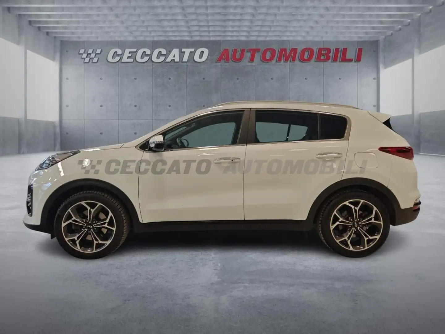 Kia Sportage Sportage 1.6 crdi mhev GT Line 2wd 136cv dct Blanc - 2