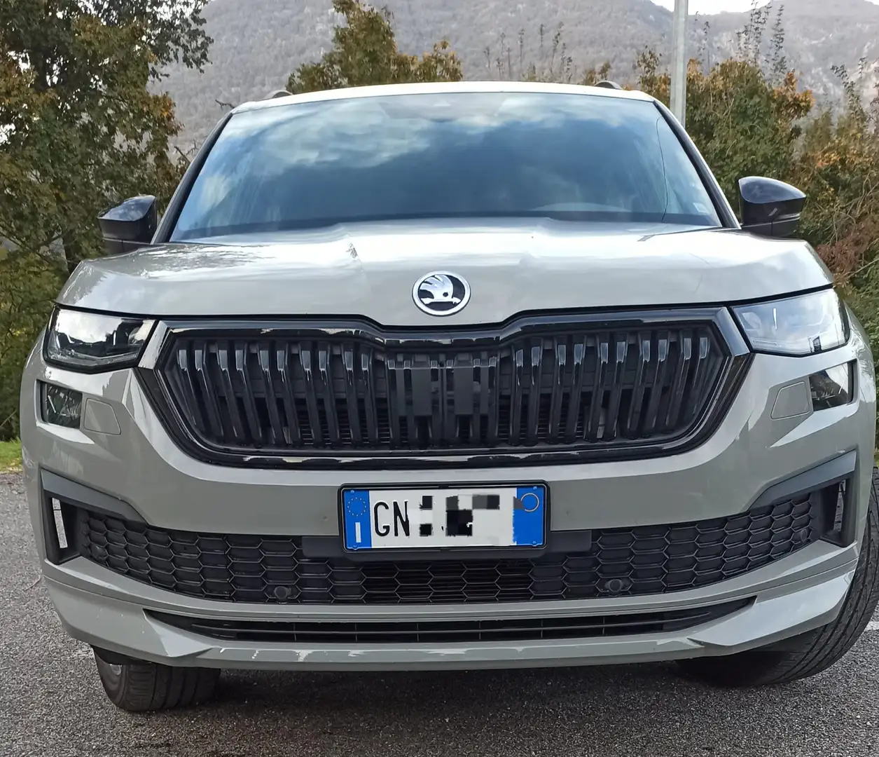 Skoda Kodiaq Kodiaq 1a serie restyle 2.0 TDI evo SPORTLINE dsg Grigio - 2