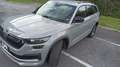 Skoda Kodiaq Kodiaq 1a serie restyle 2.0 TDI evo SPORTLINE dsg Grigio - thumbnail 1