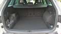 Skoda Kodiaq Kodiaq 1a serie restyle 2.0 TDI evo SPORTLINE dsg Grigio - thumbnail 15