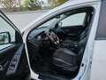 Hyundai iX35 iX35 2,0 CRDi 4WD Weiß - thumbnail 5